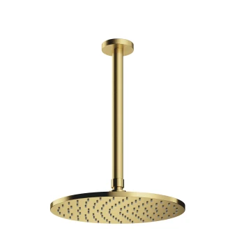 shower head with ceiling shower arm