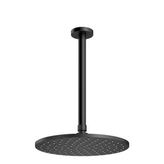 shower head with ceiling shower arm