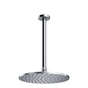 shower head with ceiling shower arm