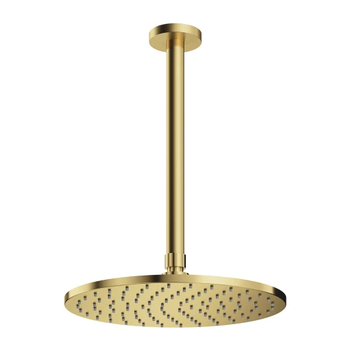 shower head with ceiling shower arm