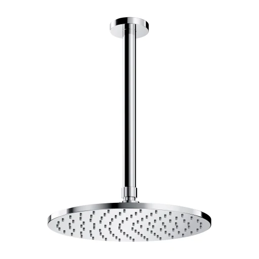 shower head with ceiling shower arm