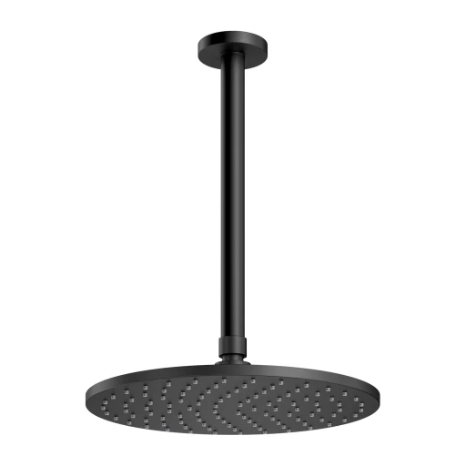 shower head with ceiling shower arm
