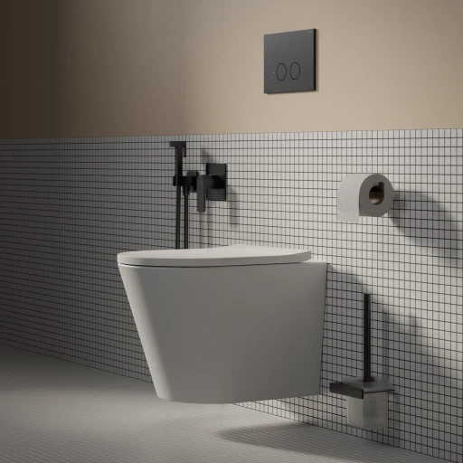 cuvette de WC murale avec abattant frein de chute, 52 x 36 cm