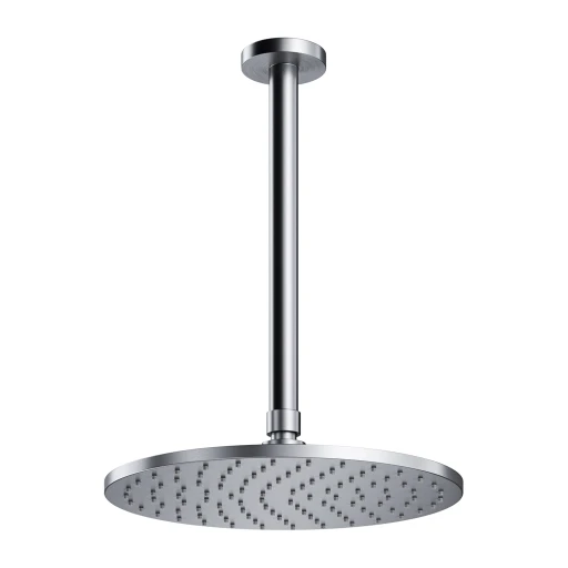 shower head with ceiling shower arm