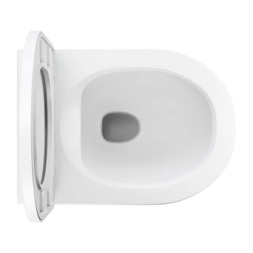 cuvette de WC murale avec abattant frein de chute, 52 x 36 cm
