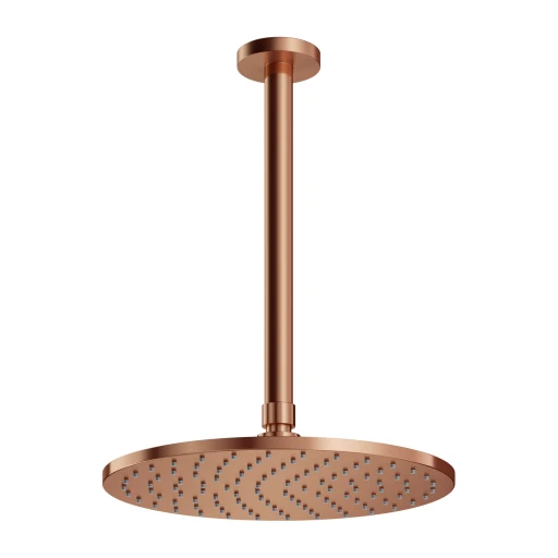 shower head with ceiling shower arm