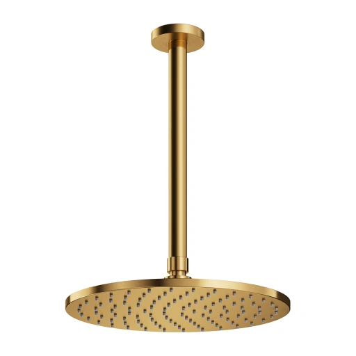 shower head with ceiling shower arm