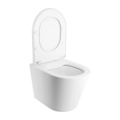 cuvette de WC murale avec abattant frein de chute, 52 x 36 cm