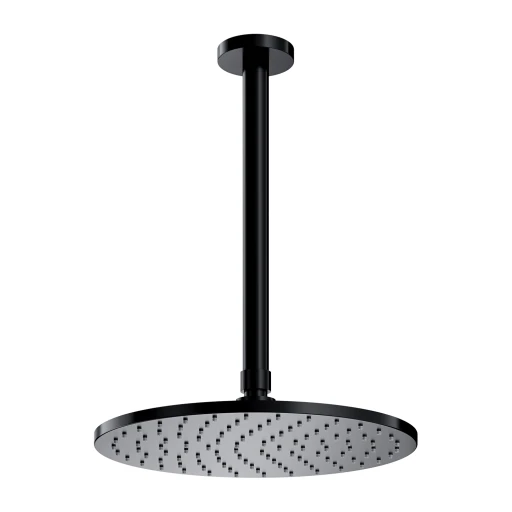 shower head with ceiling shower arm