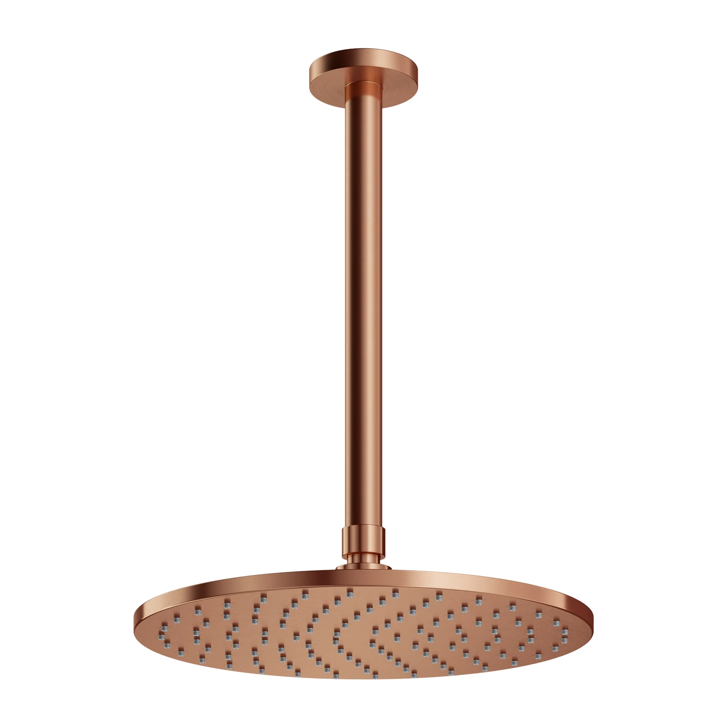 shower head with ceiling shower arm
