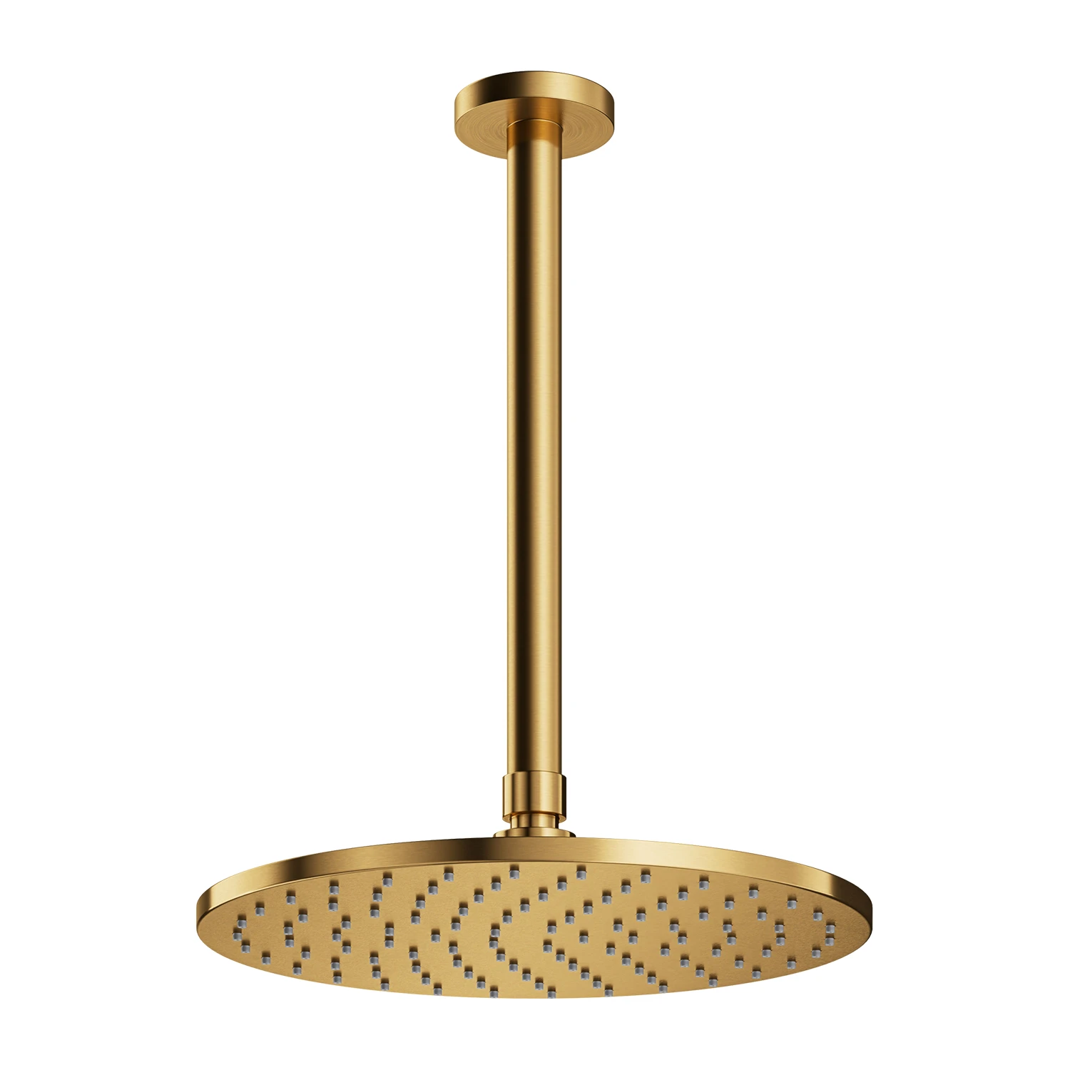 shower head with ceiling shower arm