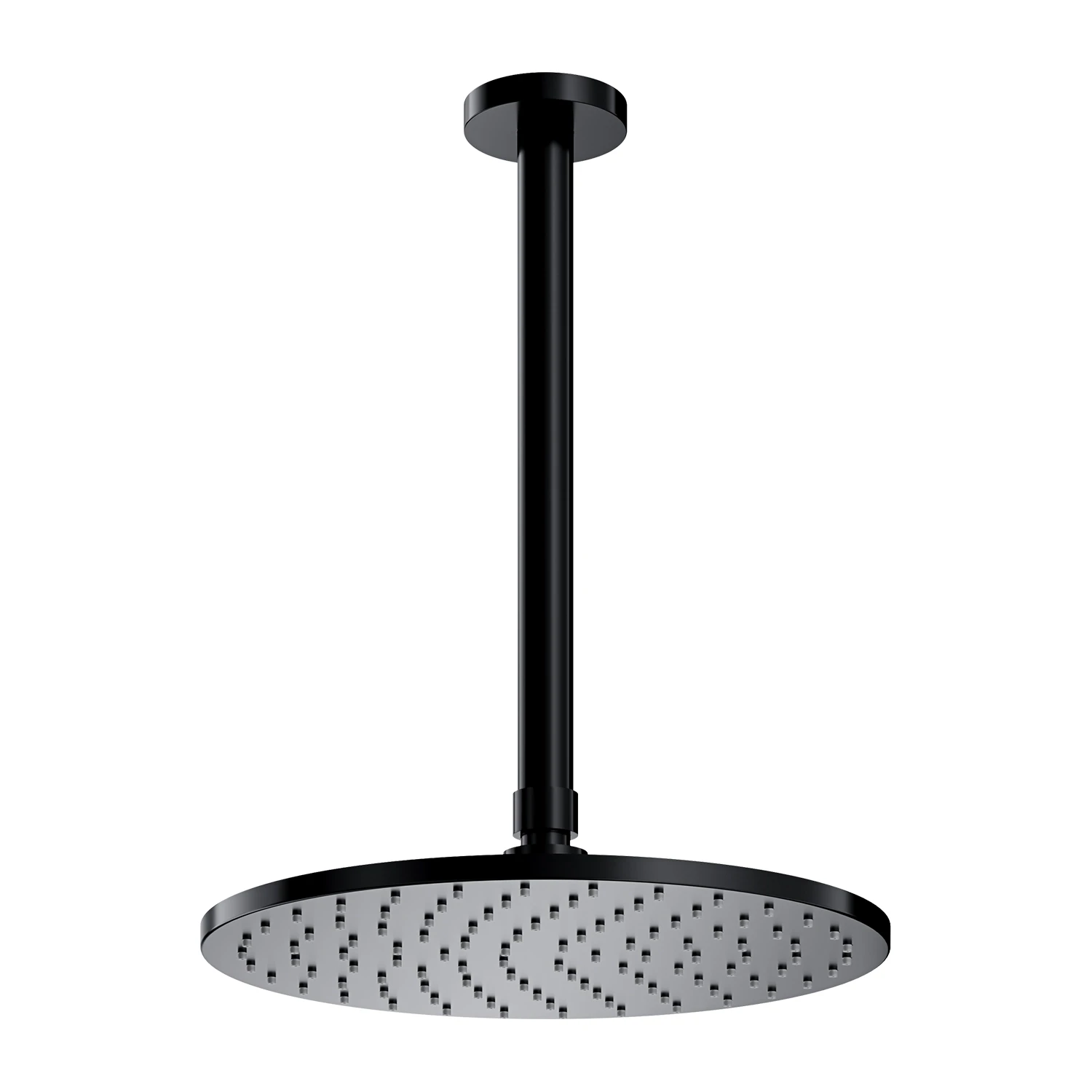 shower head with ceiling shower arm