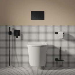 cuvette de WC murale avec abattant frein de chute, 52 x 36 cm