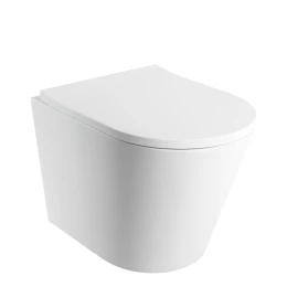 cuvette de WC murale avec abattant frein de chute, 52 x 36 cm