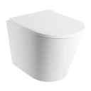cuvette de WC murale avec abattant frein de chute, 52 x 36 cm