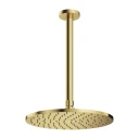 shower head with ceiling shower arm