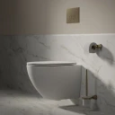 wall-mounted toilet with soft-close seat, 54 x 37 cm