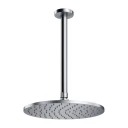 shower head with ceiling shower arm