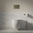 wall-mounted toilet with soft-close seat, 54 x 37 cm