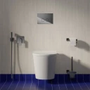 cuvette de WC murale avec abattant frein de chute, 52 x 36 cm