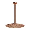 shower head with ceiling shower arm