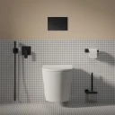 cuvette de WC murale avec abattant frein de chute, 52 x 36 cm