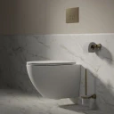 STRONGFRAME Vorwandelement mit ECO-Spülung für Wand-WC + STEEL-R45 WC-Betätigungsplatte aus Edelstahl