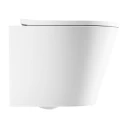 cuvette de WC murale avec abattant frein de chute, 52 x 36 cm