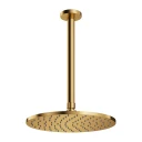 shower head with ceiling shower arm