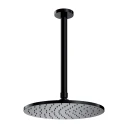 shower head with ceiling shower arm